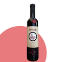 Visner di Pergola - Vino e visciole - Selezione